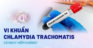 vi-khuan-chlamydia-trachomatis